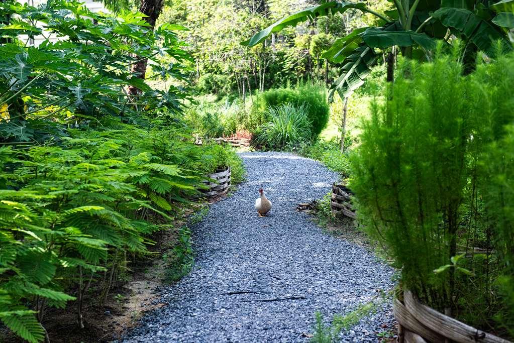 Anantara Koh Yao Yai Resort Phang Nga Eksteriør bilde